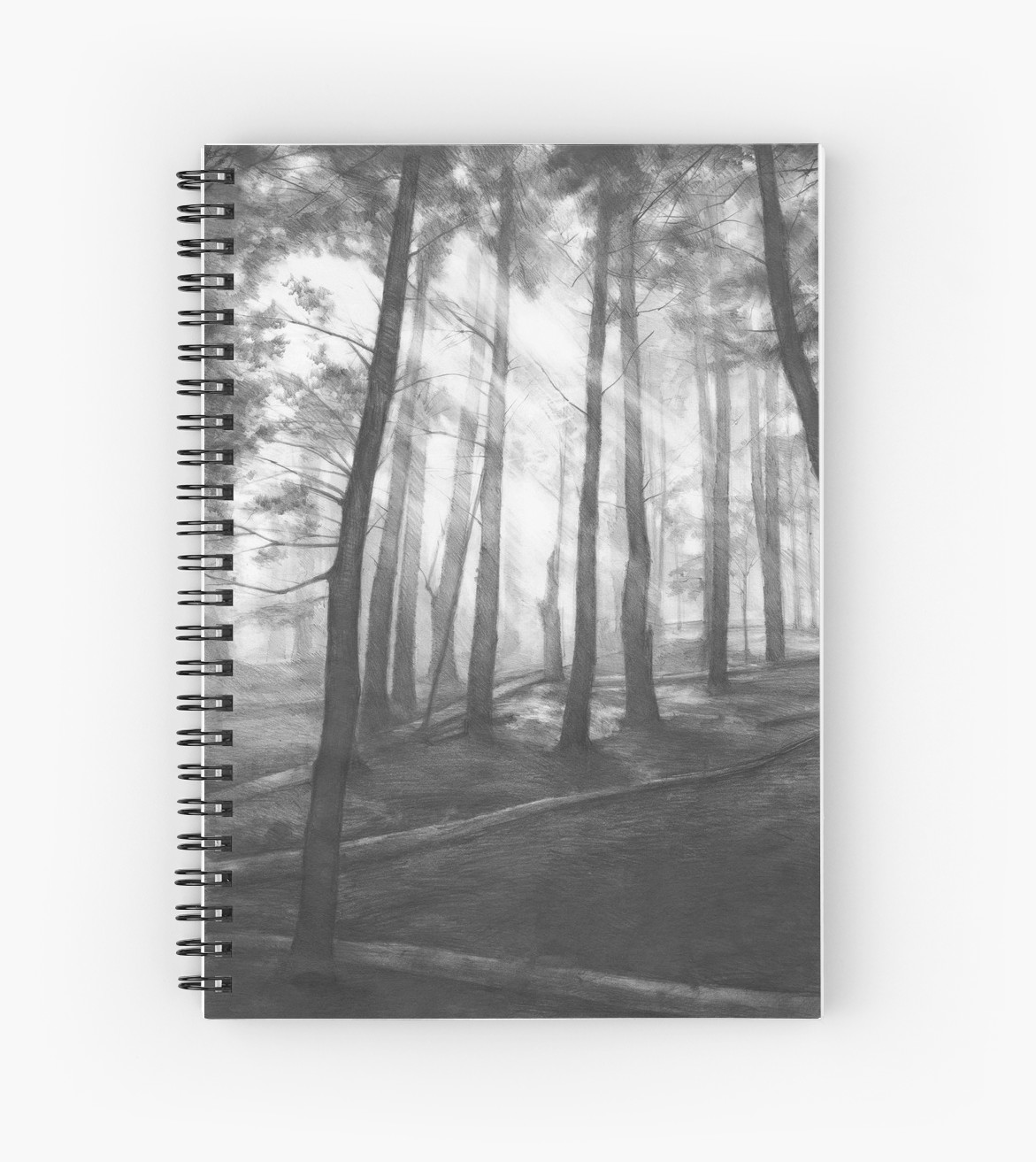 1171x1313 Dark Forest - Dark Forest Drawing