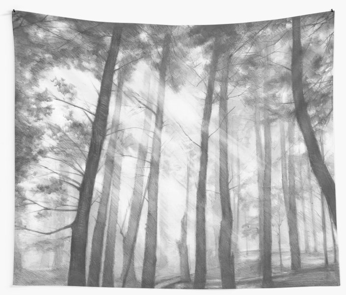 705x602 Dark Forest - Dark Forest Drawing