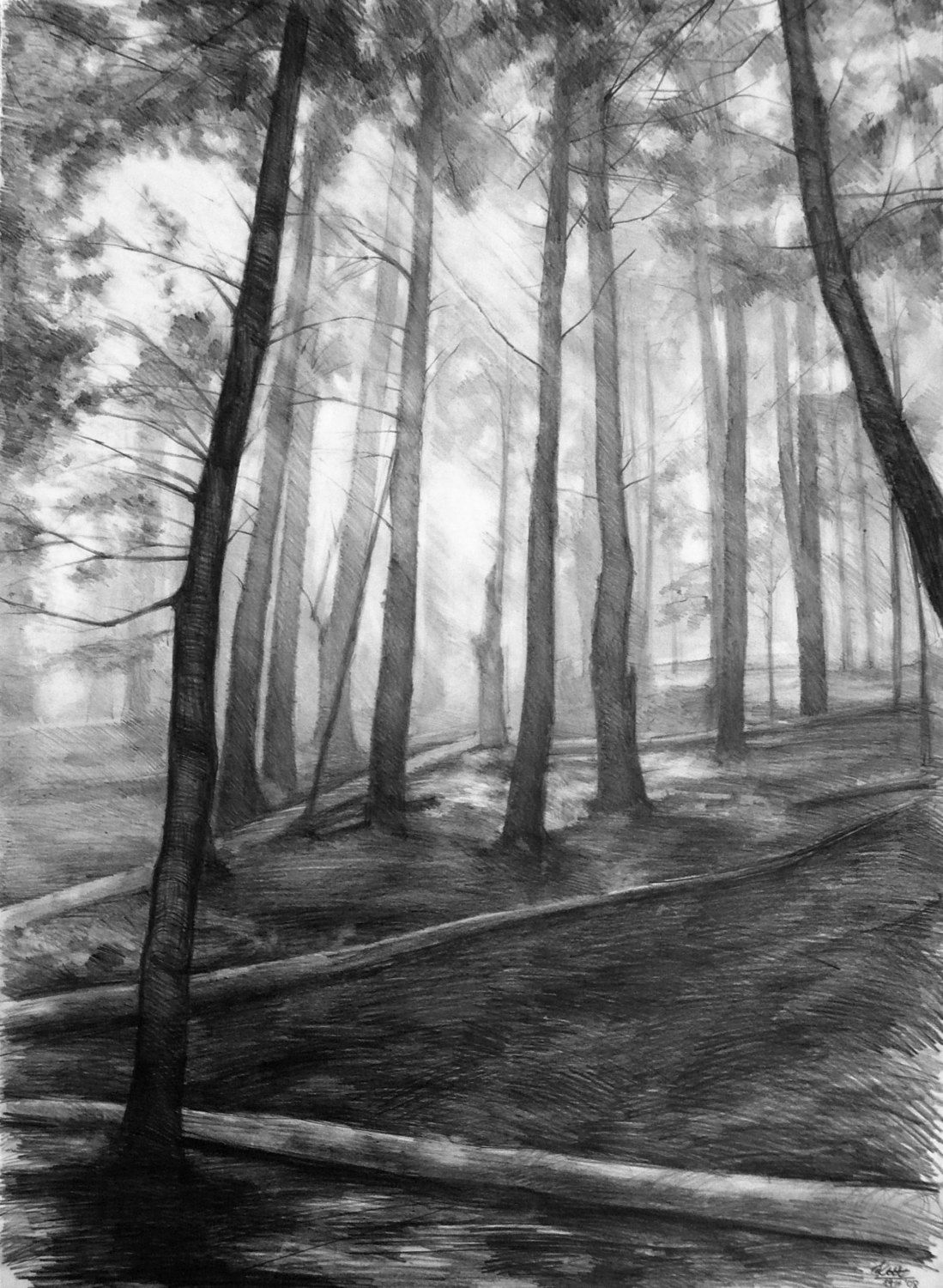 1099x1500 Dark Forest Original Drawing - Dark Forest Drawing