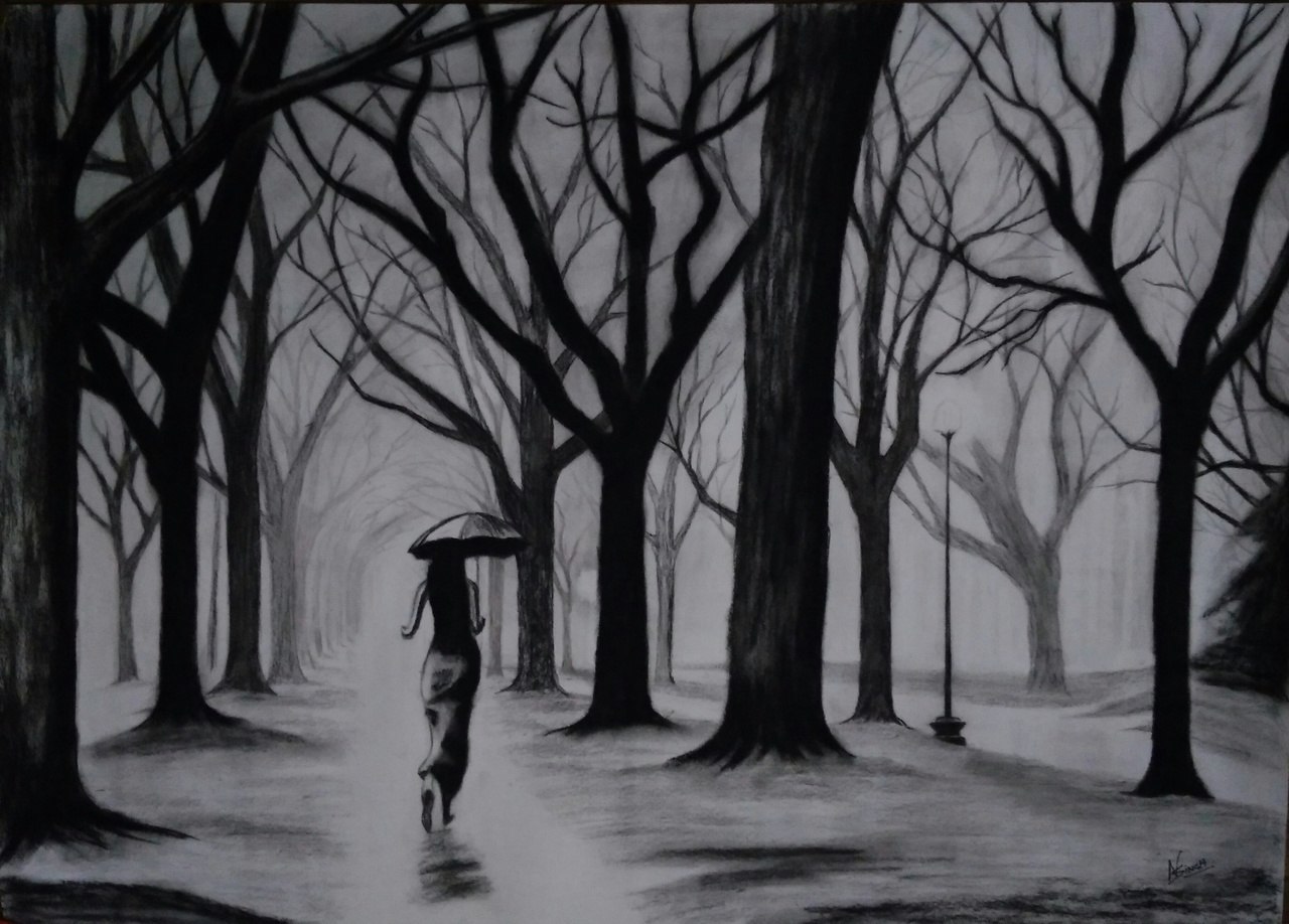 Dark Forest Drawing at PaintingValley.com | Explore collection of Dark