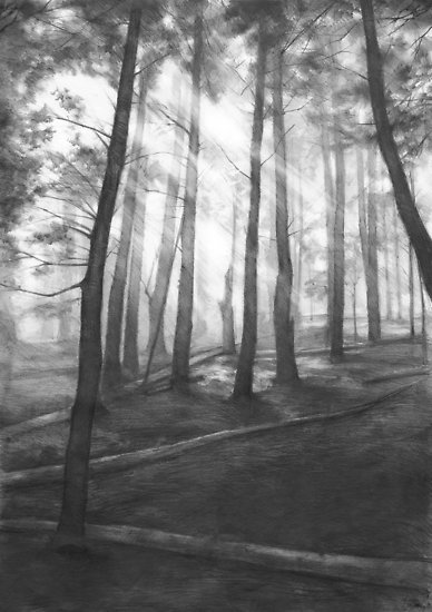 388x550 Dark Forest - Dark Pencil Drawings