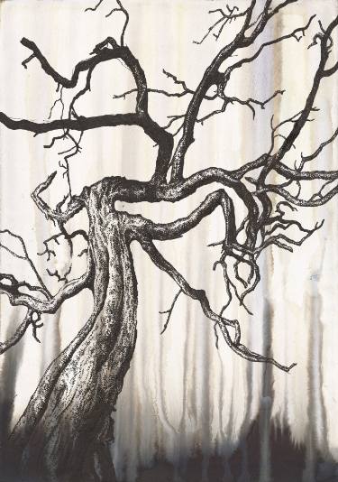 375x534 Dark Tree - Dark Tree Drawing