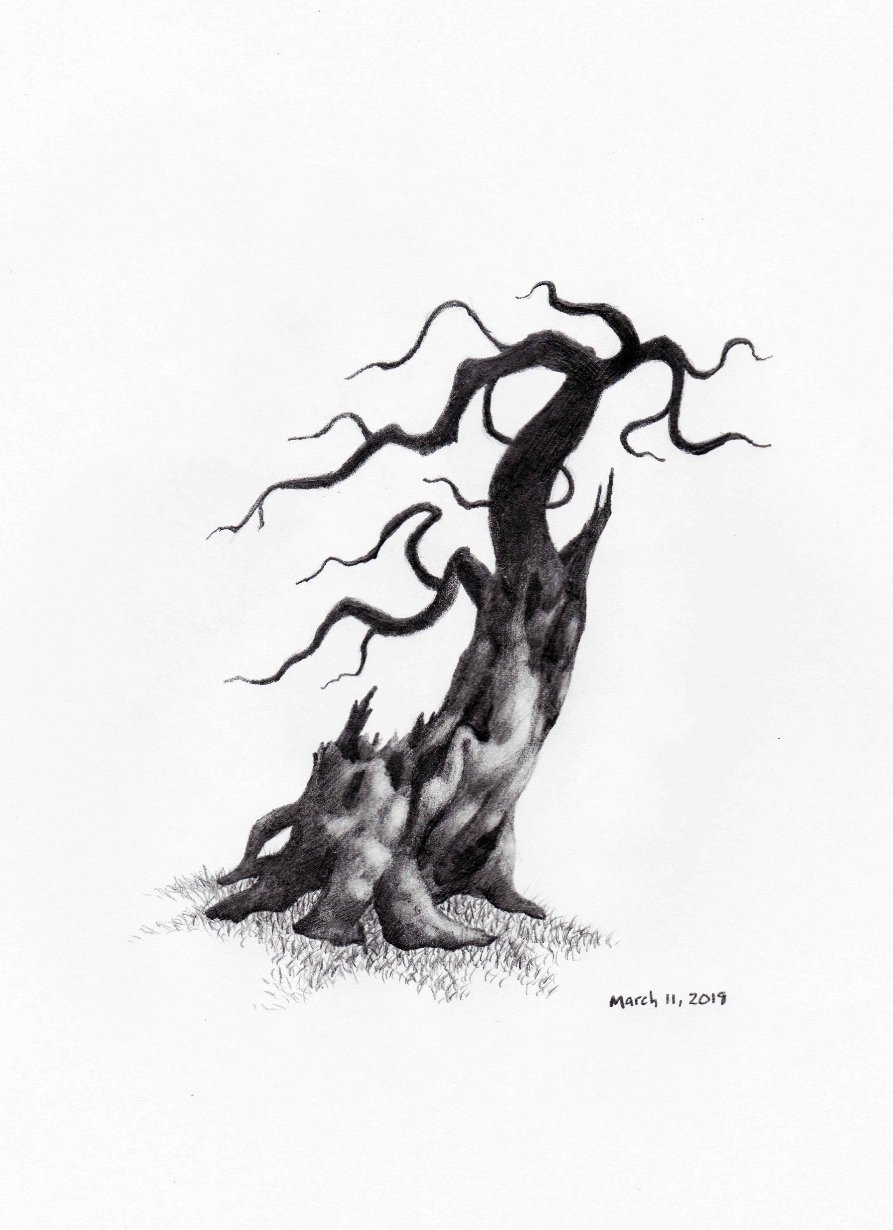 3057x4208 Out Of The Dark Tree Tree Sketches - Dark Tree Drawing