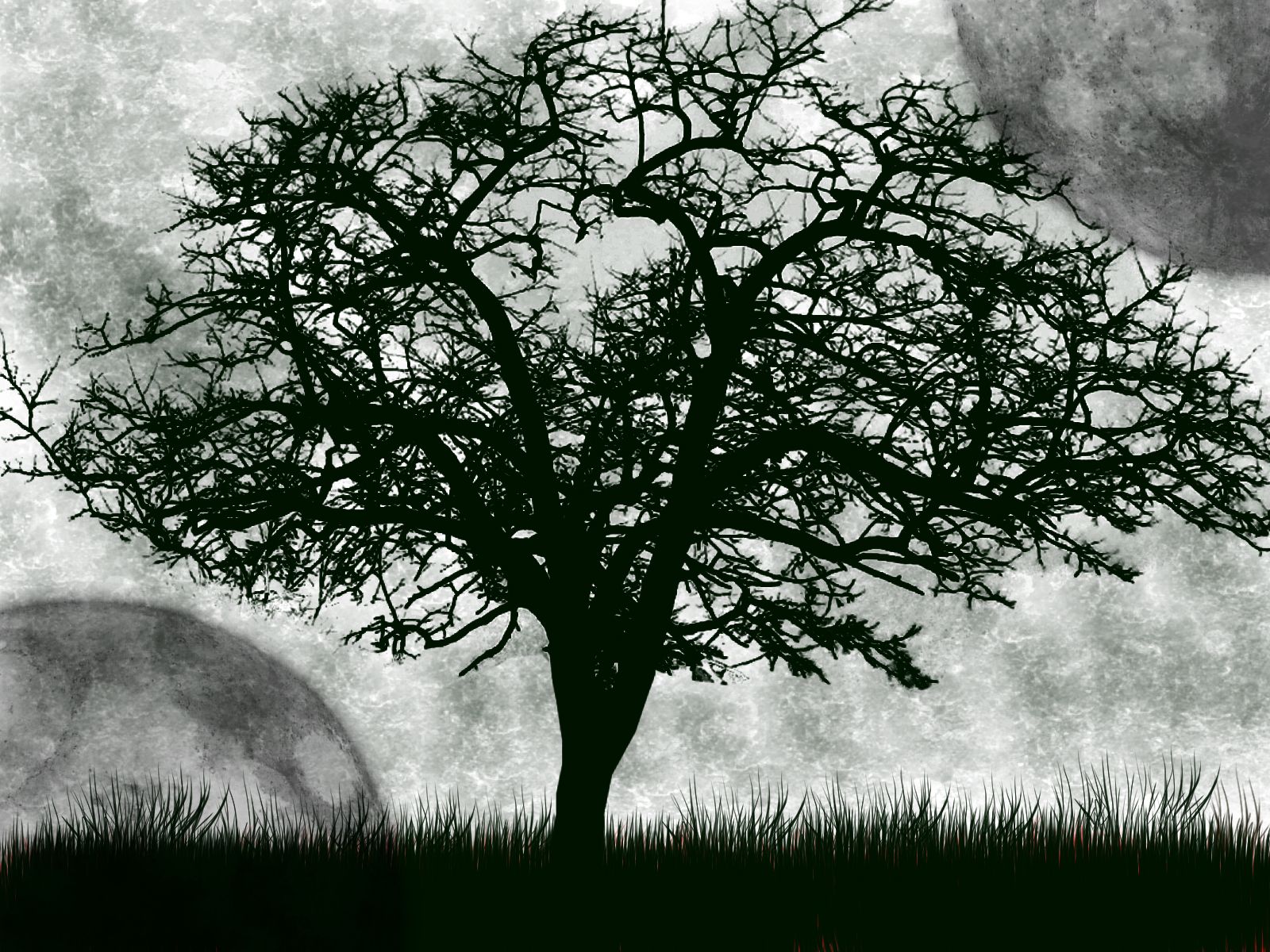 1600x1200 The Dark Tree Drawing - Dark Tree Drawing