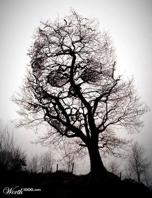 500x652 tree drawing unusual trees tattoos, skull, art - Dark Tree Drawing