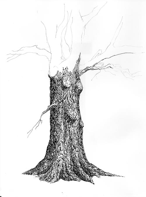 500x674 Tree Pen And Ink Drawing St - Dark Tree Drawing