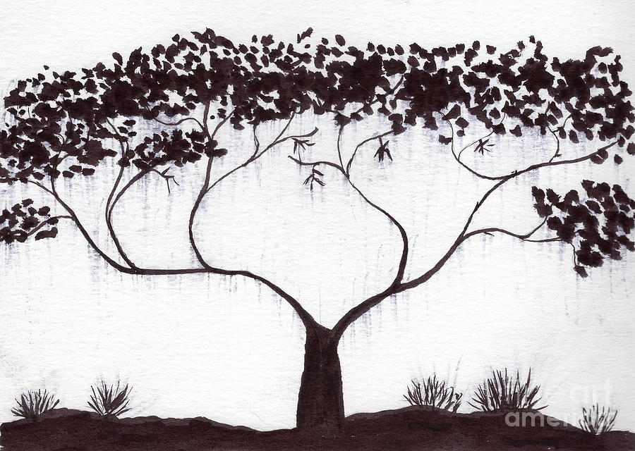 900x640 Dark Tree Painting - Dark Tree Drawing
