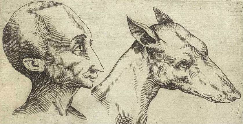 839x429 fantastically wrong the silly theory that almost kept darwin - Darwin Drawings