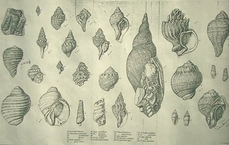 450x284 life and work of darwin - Darwin Drawings