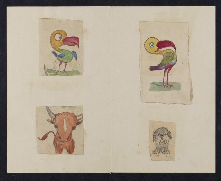 767x626 slide show the darwin children's doodles - Darwin Drawings