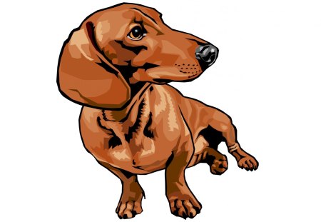 450x311 dachshund drawing - Daschund Drawing