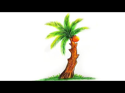 480x360 how to draw a date palm tree step - Date Drawing