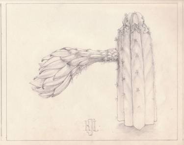 375x295 moon flower', study - Dawn Drawing