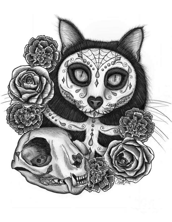 695x900 Day Of The Dead Cat Skull - Day Of The Dead Drawings