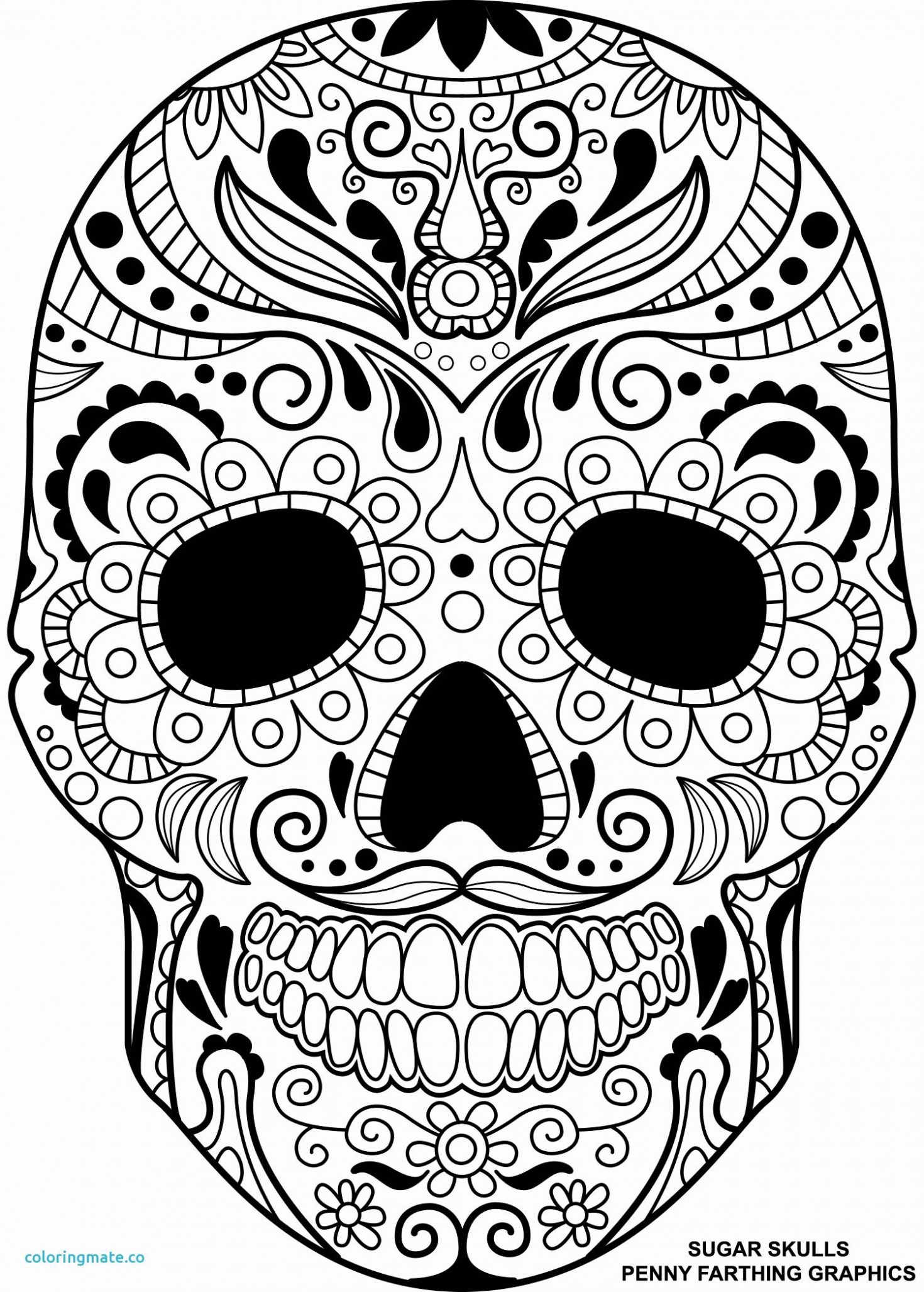 Day Of The Dead Skull Drawings At PaintingValley Explore 