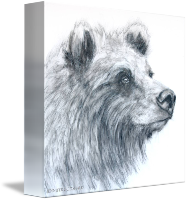 607x650 Daydream Bear - Daydream Drawing