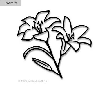 376x300 Daylily Drawing Free Download - Daylily Drawing