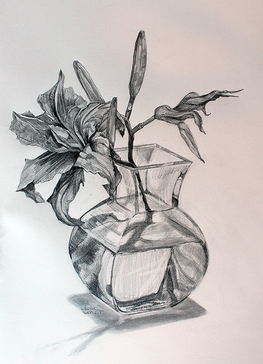 521x720 summer drawing daylily dawn wagner - Daylily Drawing