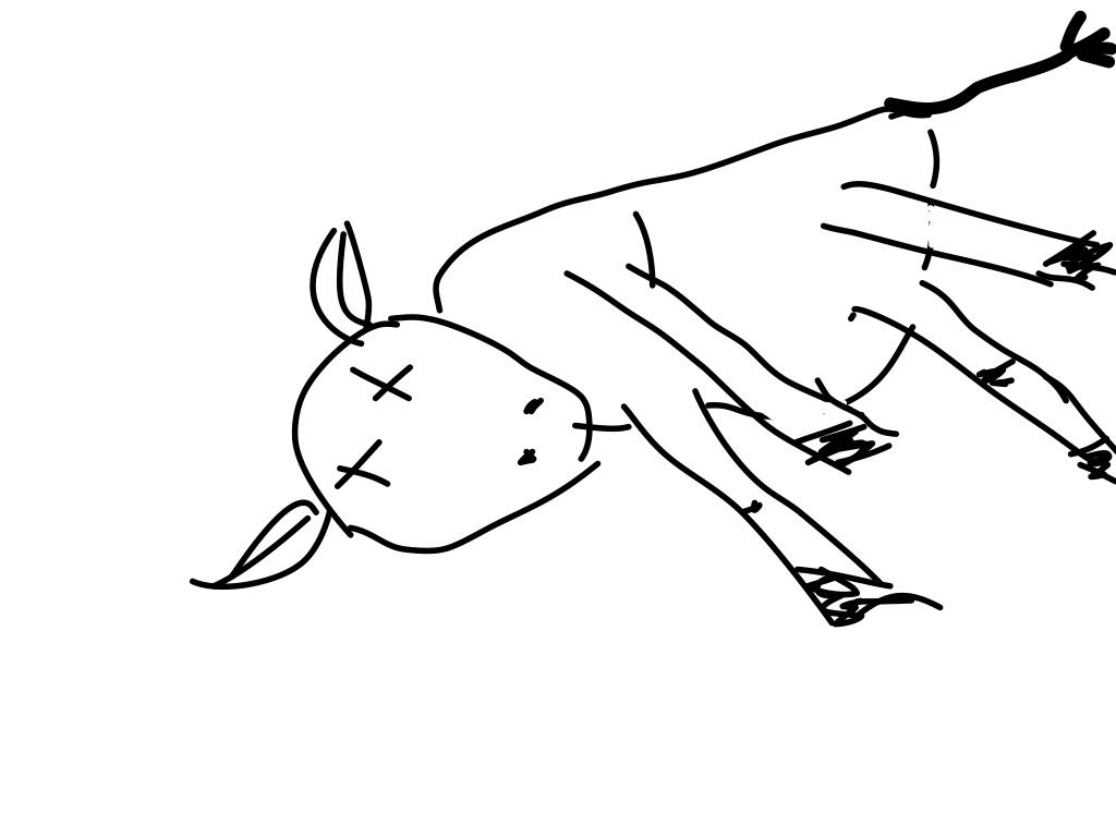 1024x768 drawing dead cows nine dot dance - Dead Animal Drawing