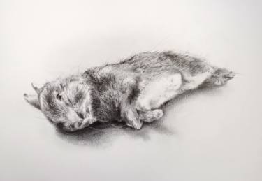 375x259 Drawing - Dead Animal Drawing