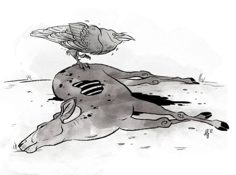 900x668 Dead Deer Sketch Funny Stuff In Deer Sketch, Sketches - Dead Animal Drawing