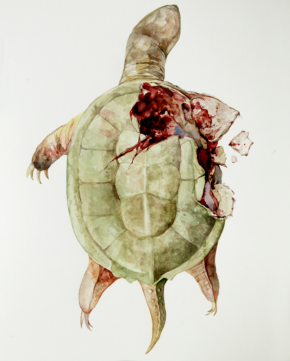 1000x1244 Dead Animals Matt Mahurin - Dead Animal Drawing