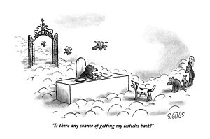 300x199 Dead Animal Drawings Fine Art America - Dead Animal Drawing