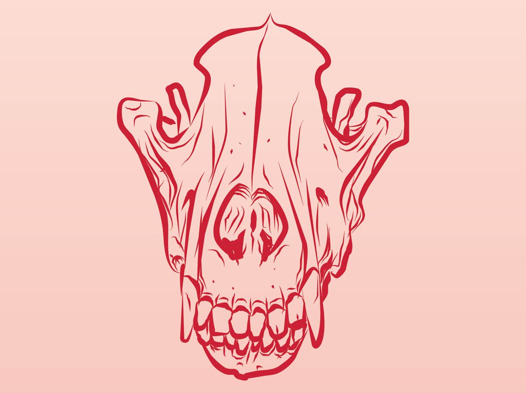 1024x765 Dead Animal Skull Vector Art Graphics - Dead Animal Drawing