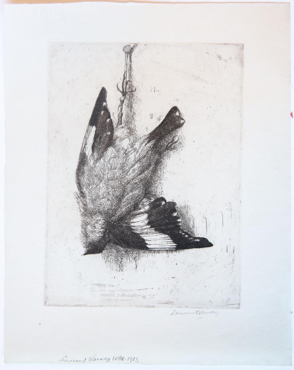 954x1200 Dead Bird Hanging - Dead Bird Drawing