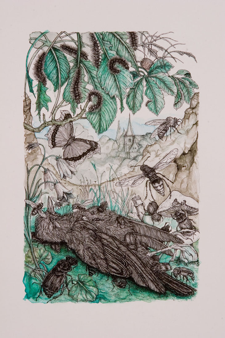 730x1095 John Kleckner - Dead Bird Drawing