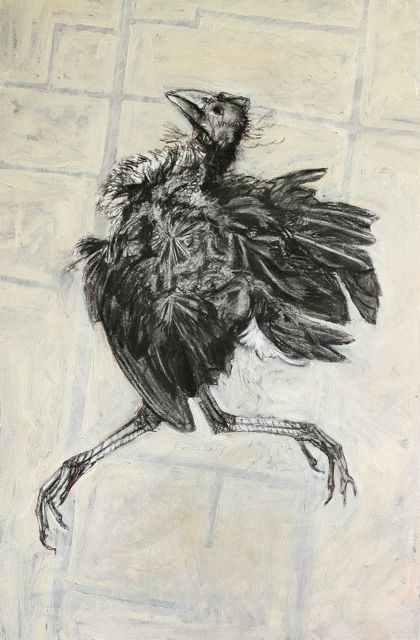 420x640 Sally Duhig - Dead Bird Drawing
