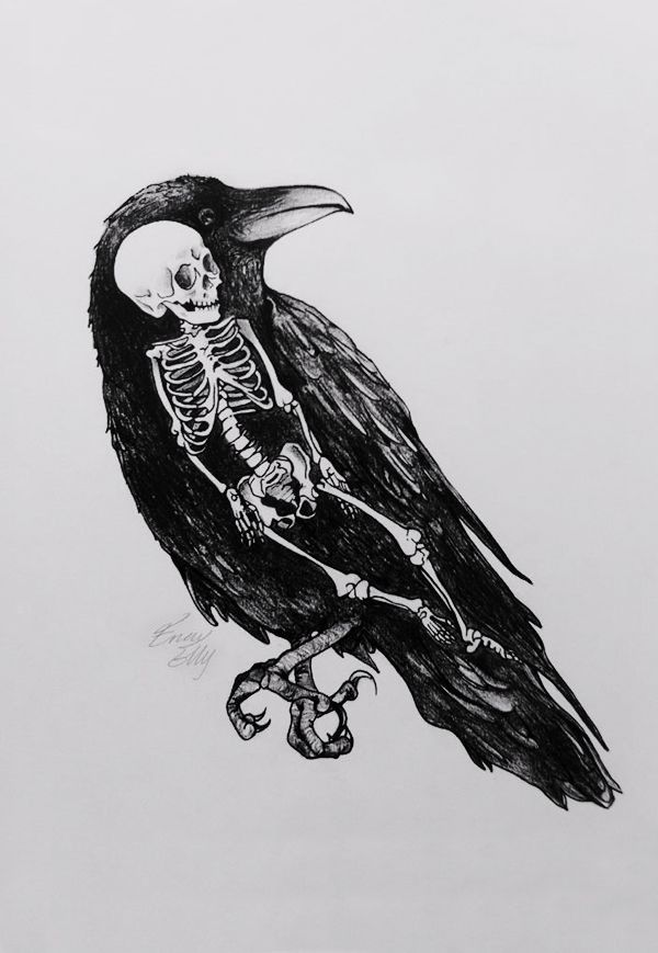 600x869 Dead - Dead Bird Drawing