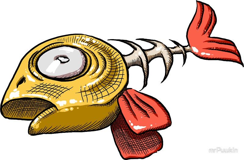 800x524 Dead Fish Drawing - Dead Fish Drawing