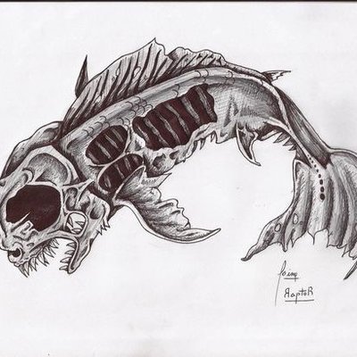 400x400 Friendly Dead Fish - Dead Fish Drawing