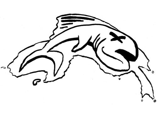 500x375 Dead Fish Drawing - Dead Fish Drawing