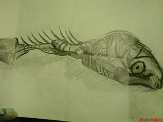 333x250 Dead Fish Drawing - Dead Fish Drawing