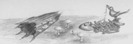 451x151 mushrooms dead fish - Dead Fish Drawing