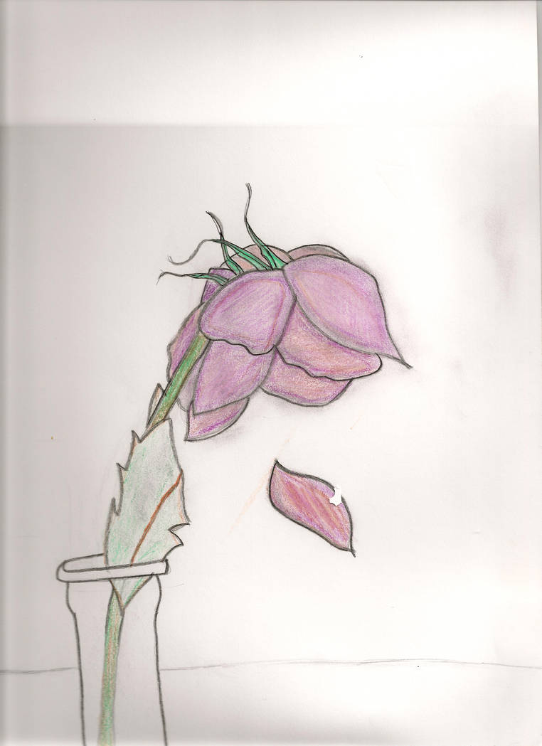 762x1049 Dead Flower - Dead Flower Drawing