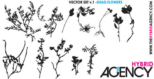 500x259 Download Dead Flower Drawing Vector For Free! - Dead Flower Drawing