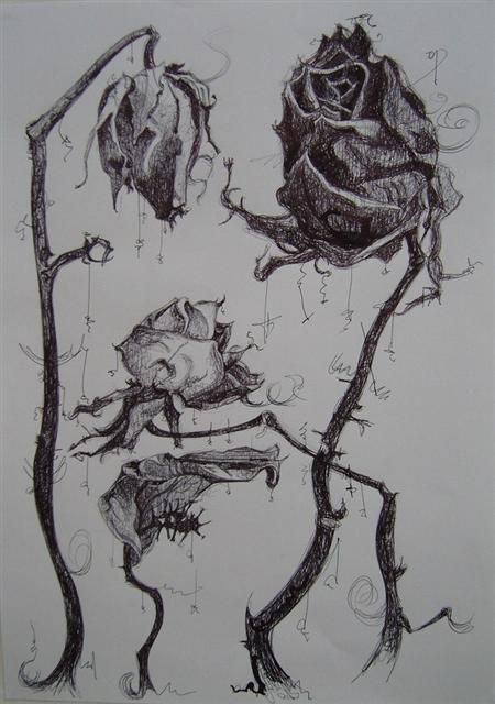 450x640 References In Dead Rose Tattoo, Art - Dead Flower Drawing