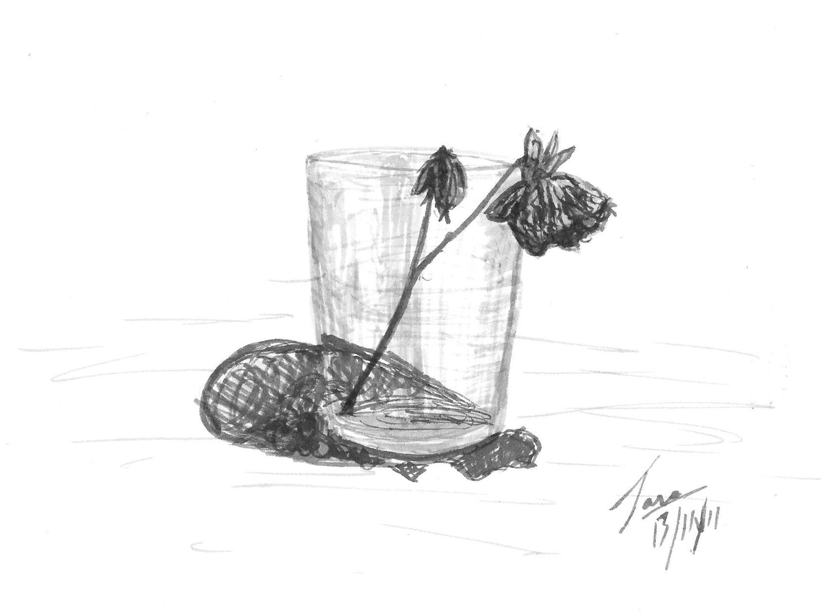 1659x1242 The - Dead Flower Drawing