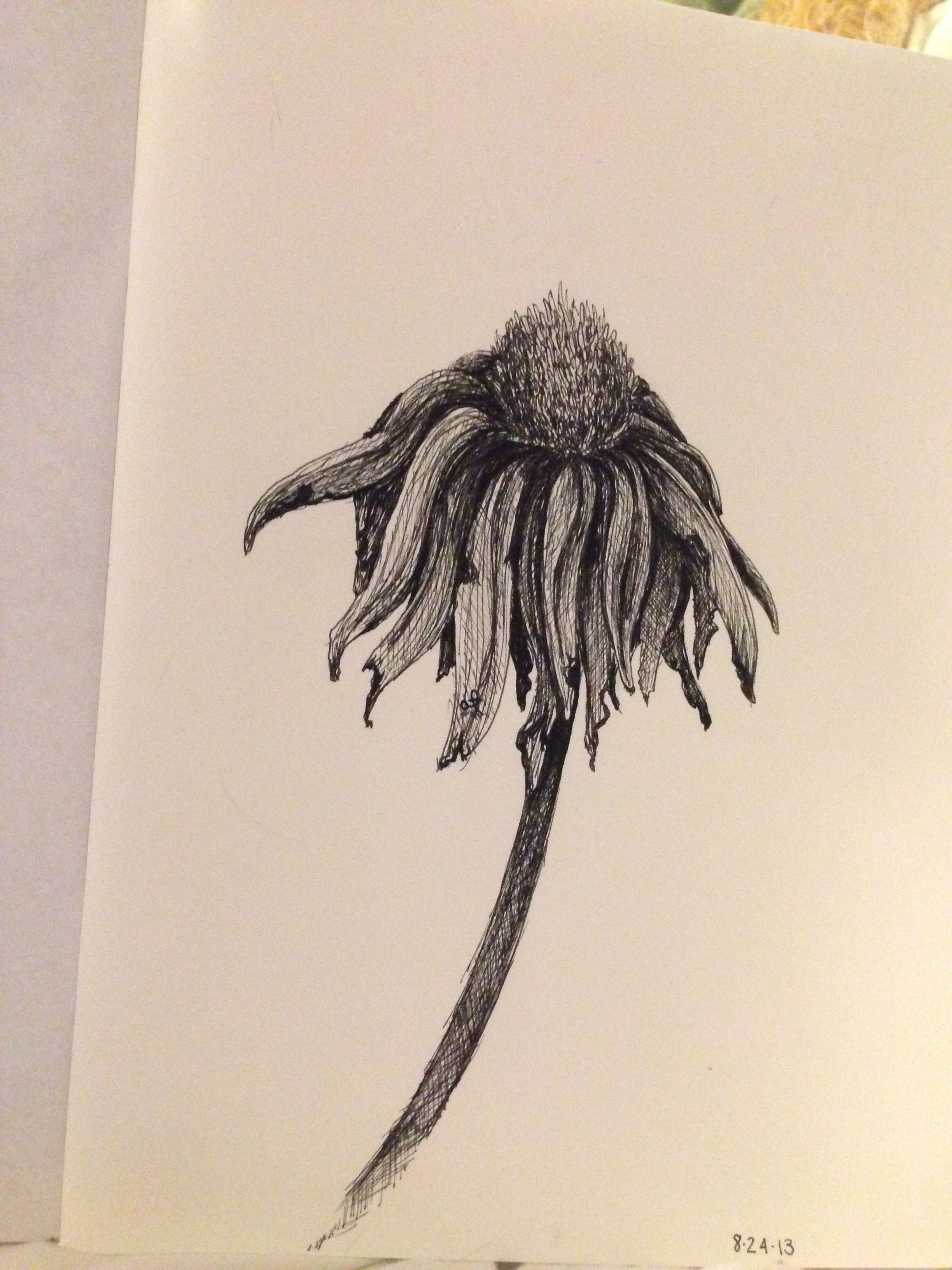 2448x3264 wilting flower drawn - Dead Flower Drawing