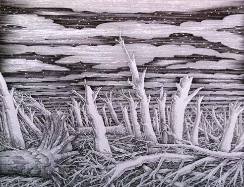 492x377 John Vernon Lord 'dead Forest' - Dead Forest Drawing
