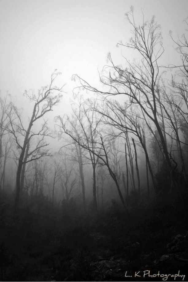 613x918 Embroidery Cross Stitch In Scary - Dead Forest Drawing