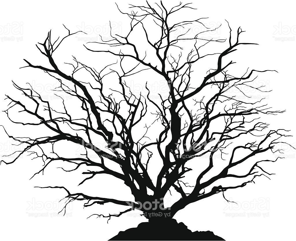 1024x834 Unique Dead Forest Silhouette Images - Dead Forest Drawing
