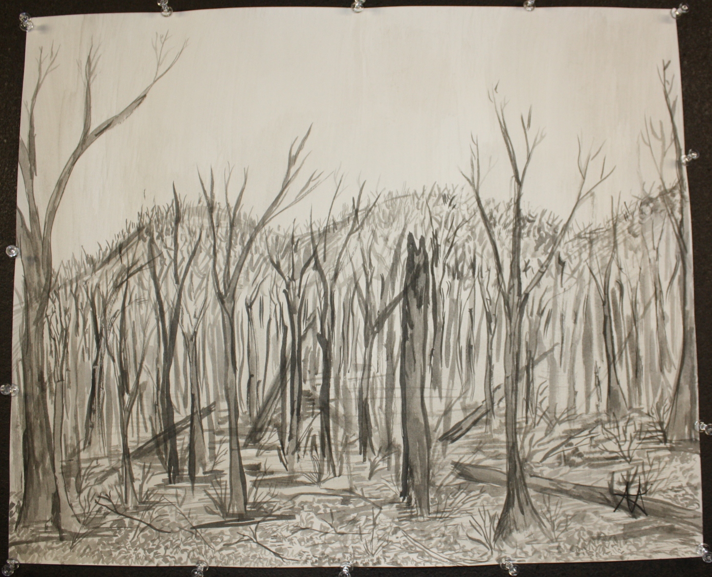 Нарисовать сгоревший лес