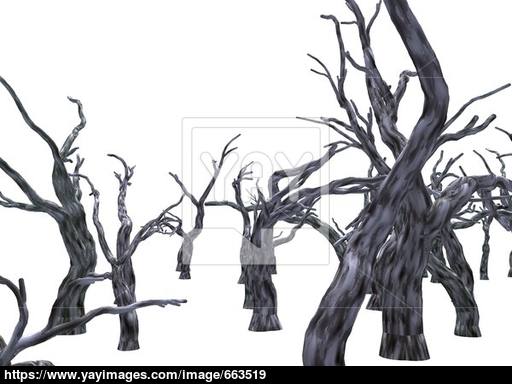 512x384 Dead Forest Image - Dead Forest Drawing
