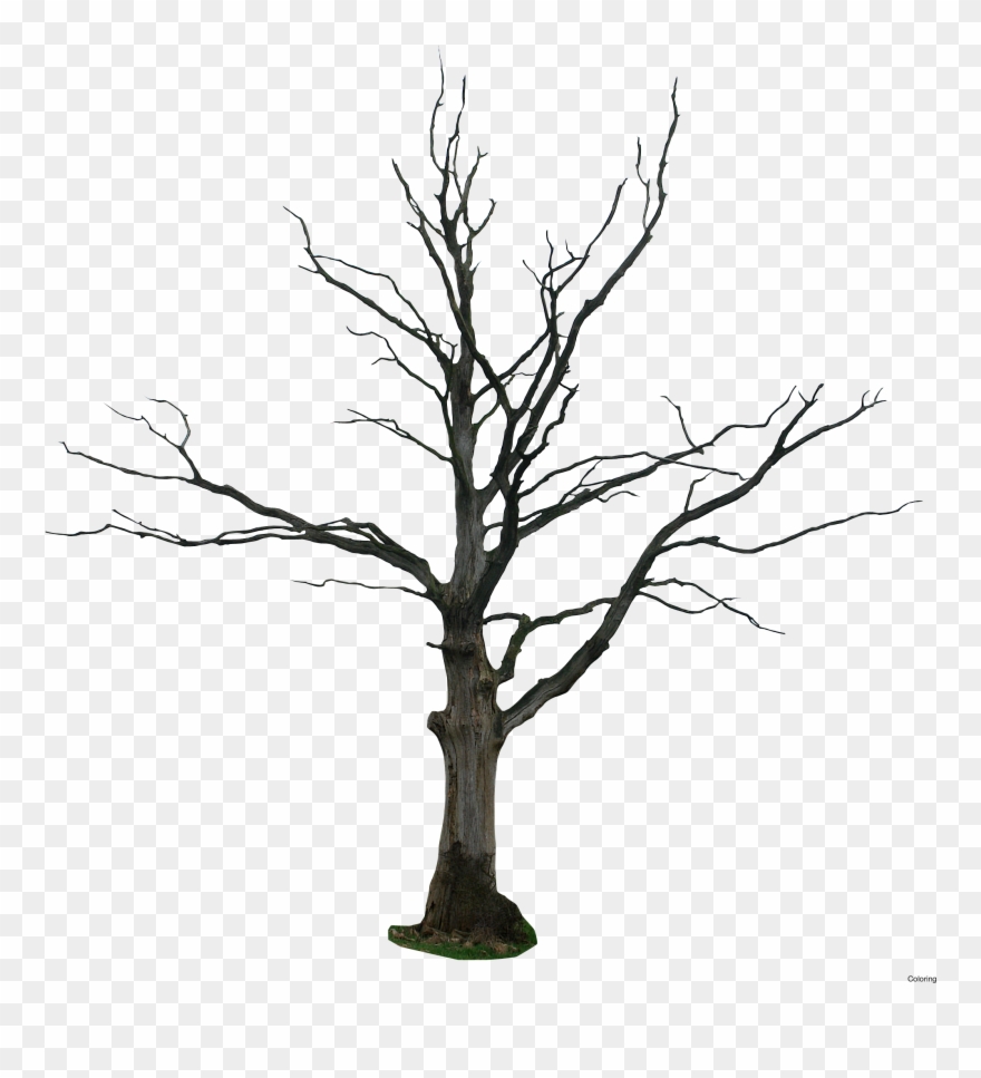 880x967 dead leaves drawn coloring page, printable dead leaves - Dead Leaf Drawing