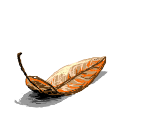 300x250 Dead Leaf Drawing - Dead Leaf Drawing