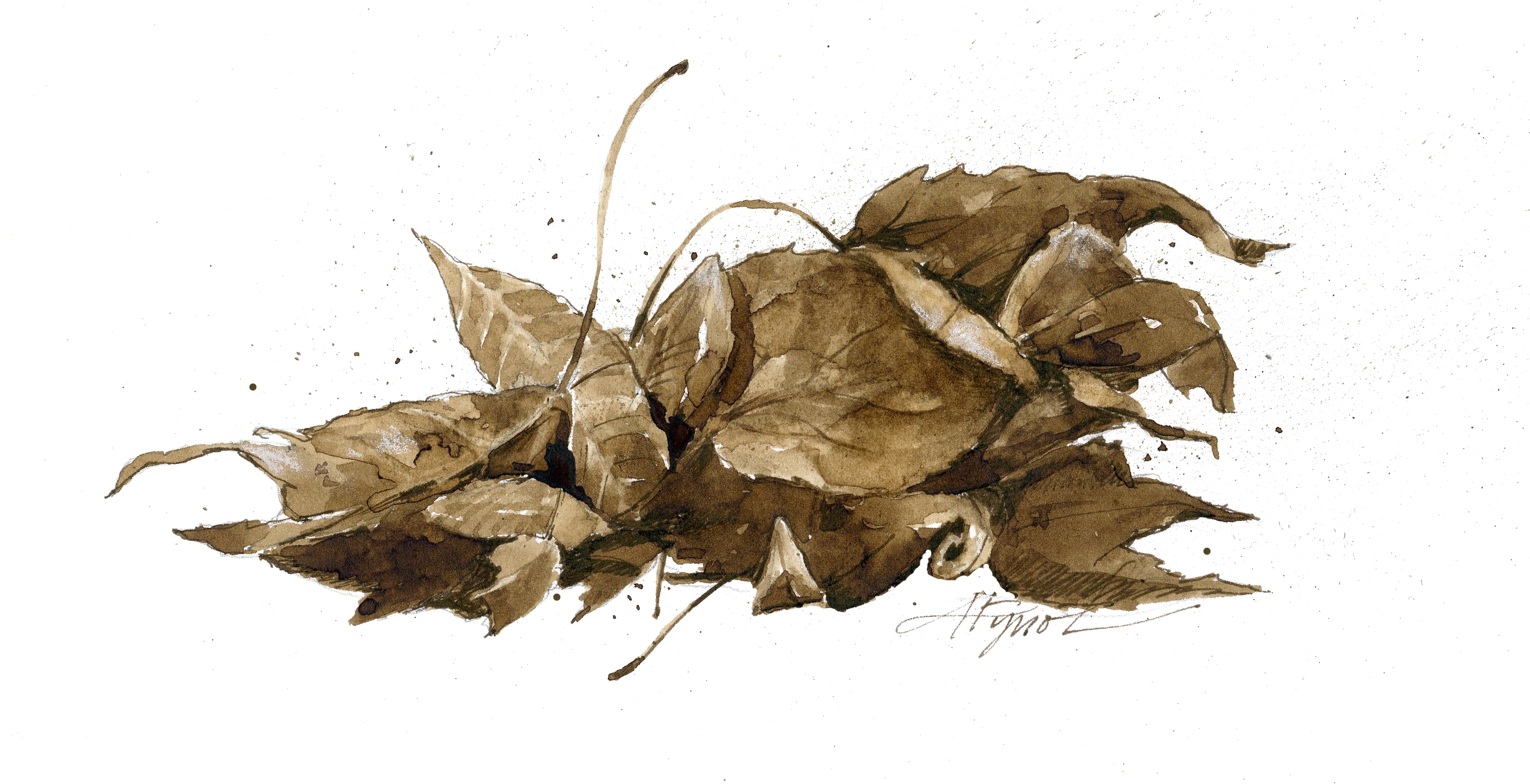 2598x1332 Free Photo Dead Leaf - Dead Leaf Drawing
